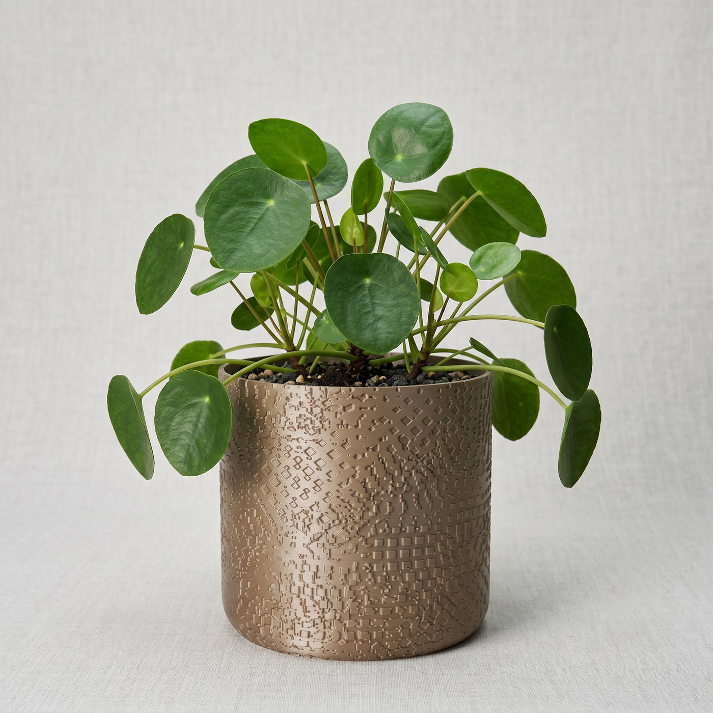 Aureo a hammered surface with a softly rounded indoor profile indoor planter, front view