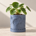 Blue Coraline planter with raised fish and aquatic plant relief, a wave-patterned base and round green leaves.