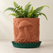 Myco indoor planter with two-color mushroom and botanical surface details