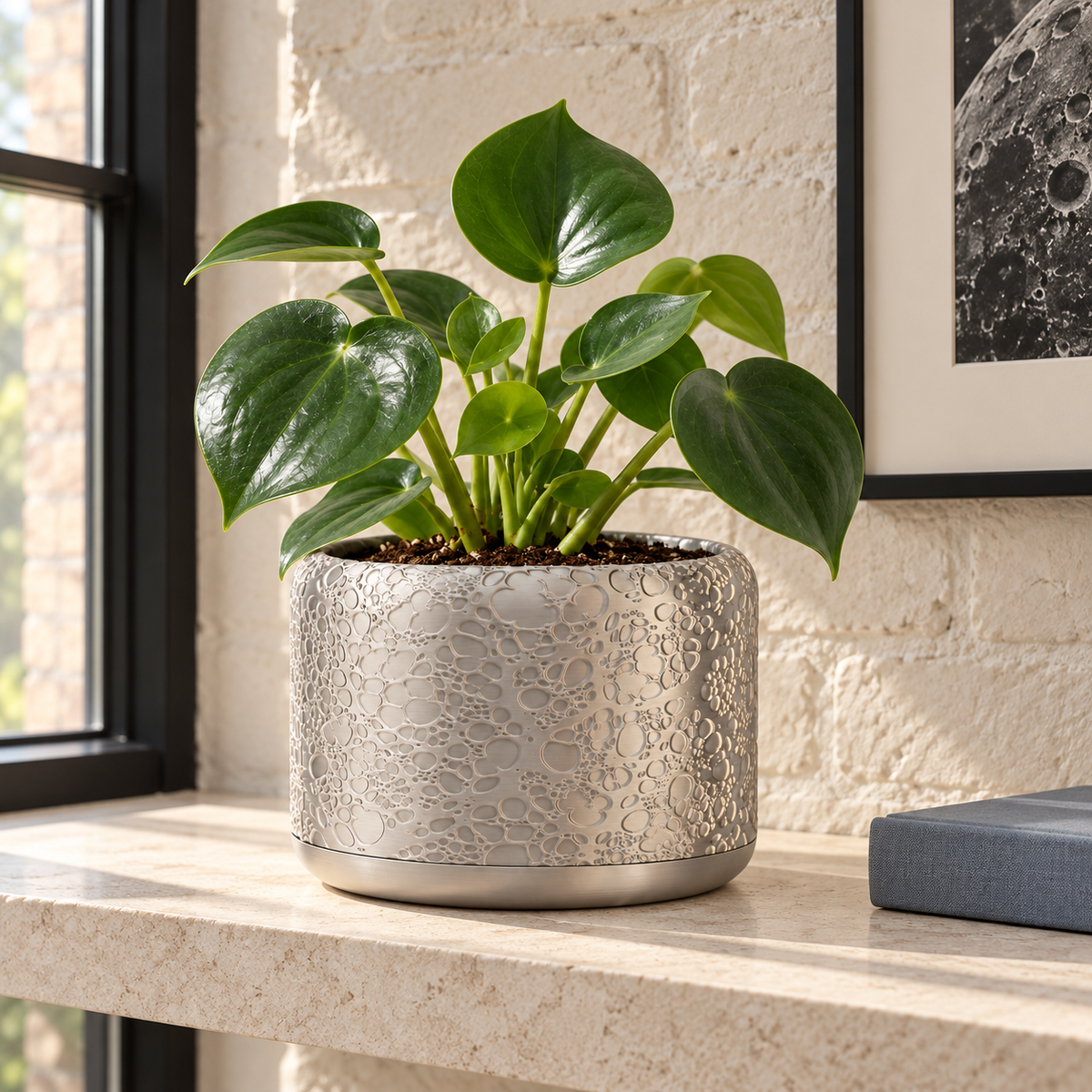 Aero indoor planter with detailed organic bubble and crater-like texture