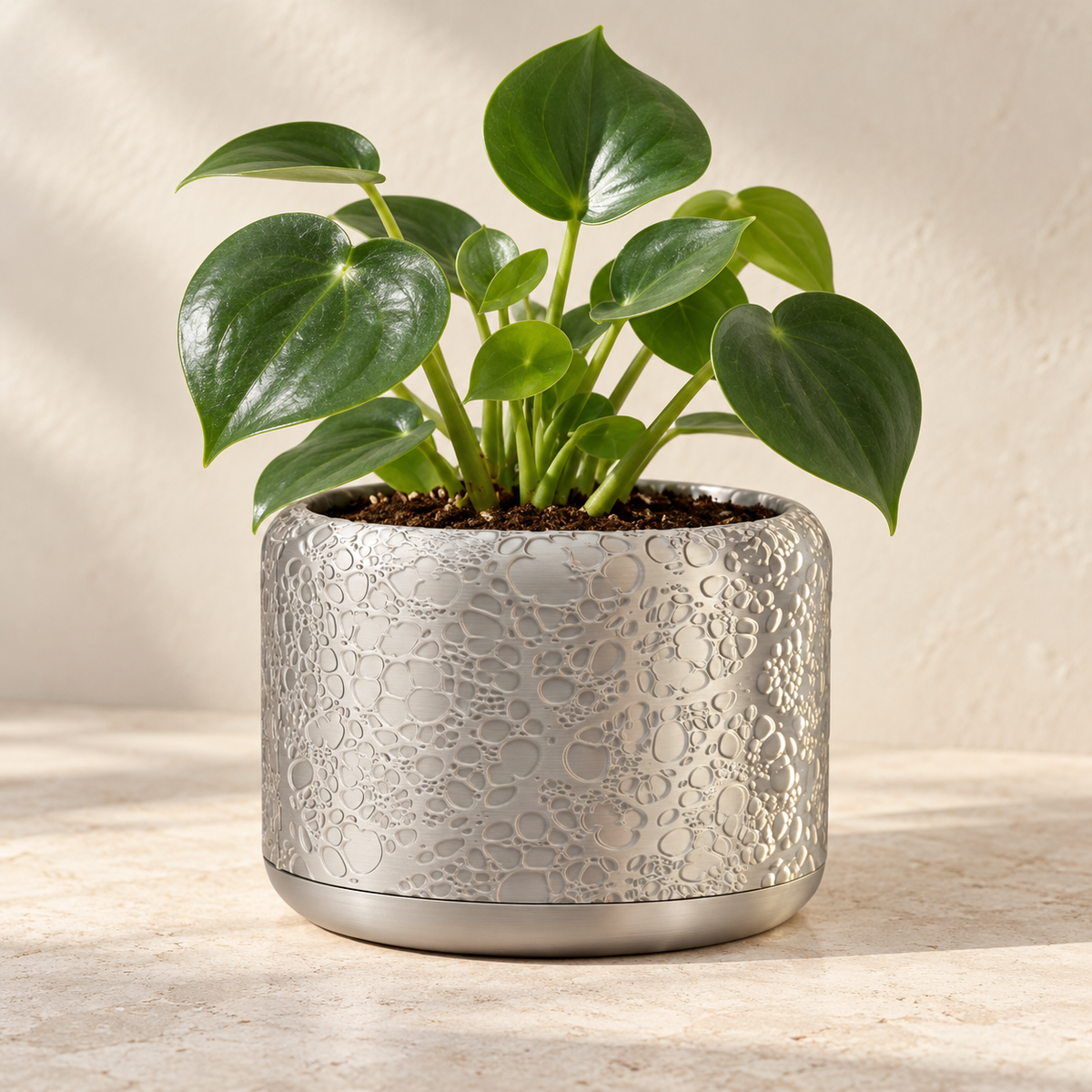 Aero indoor planter with organic bubble and crater-like texture