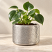 Aero indoor planter with organic bubble and crater-like texture