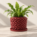 Red Braido planter with a chunky woven texture, matching tray and a fern.