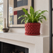 Red Braido woven planter holding a fern on a light mantel in a bright living room.