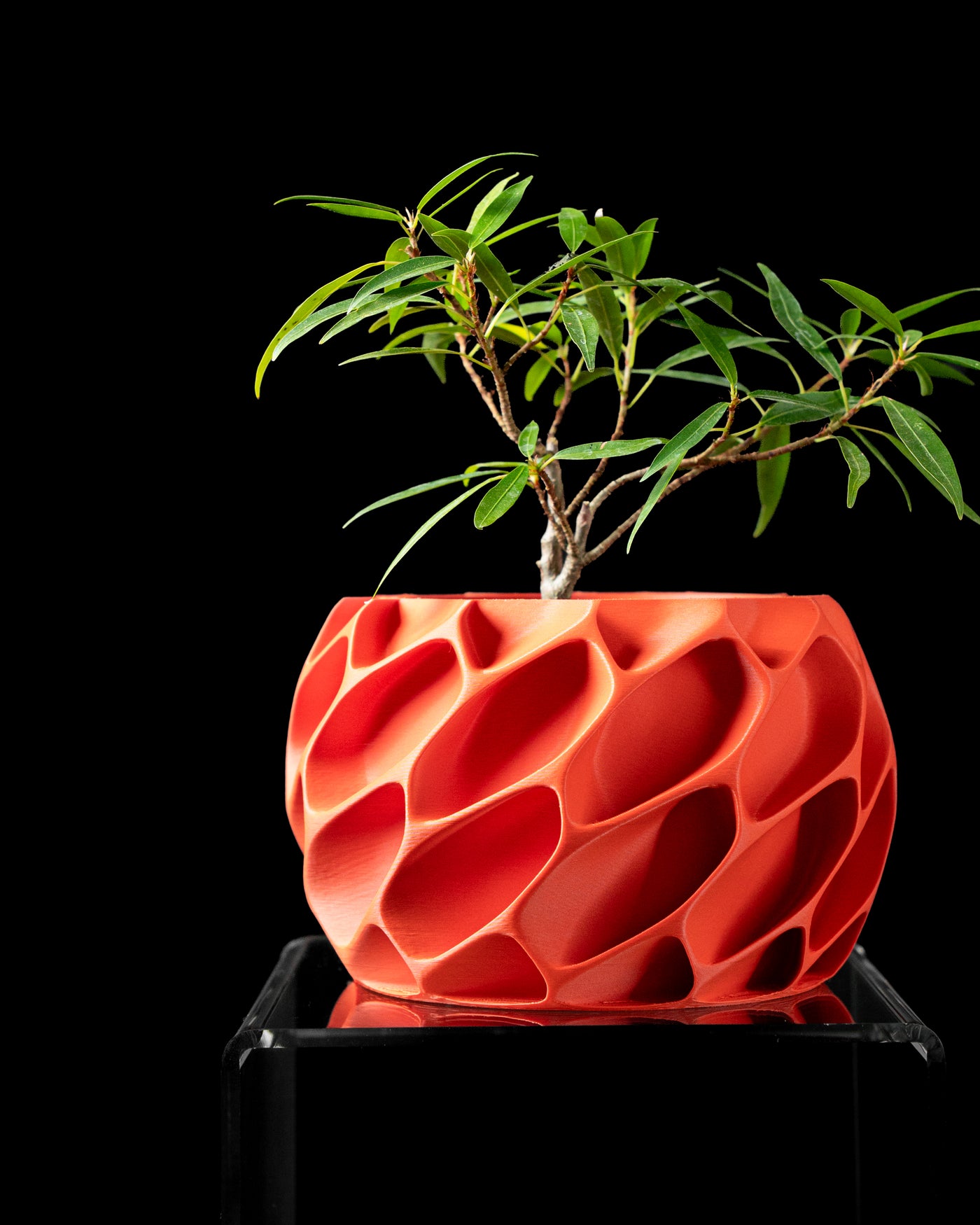 Exo organic texture indoor planter, product view 1