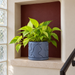 Front view of Flow indoor plant pot with irregular raised wave pattern