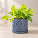 Flow indoor planter with sculpted contour-wave relief in a styled houseplant display