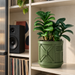 Mechanical panel planter with architectural relief in an indoor plant display