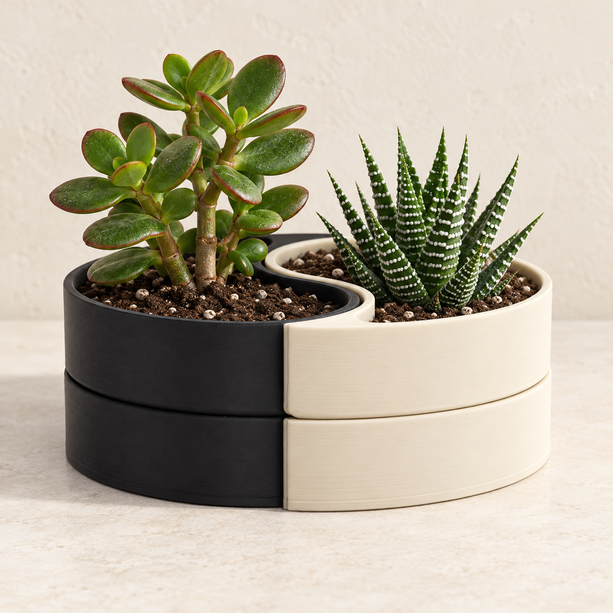 Yin-Yang Set indoor planter set with two interlocking curved compartments