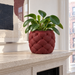 Kivu sculptural planter styled to show soft padded-looking raised forms