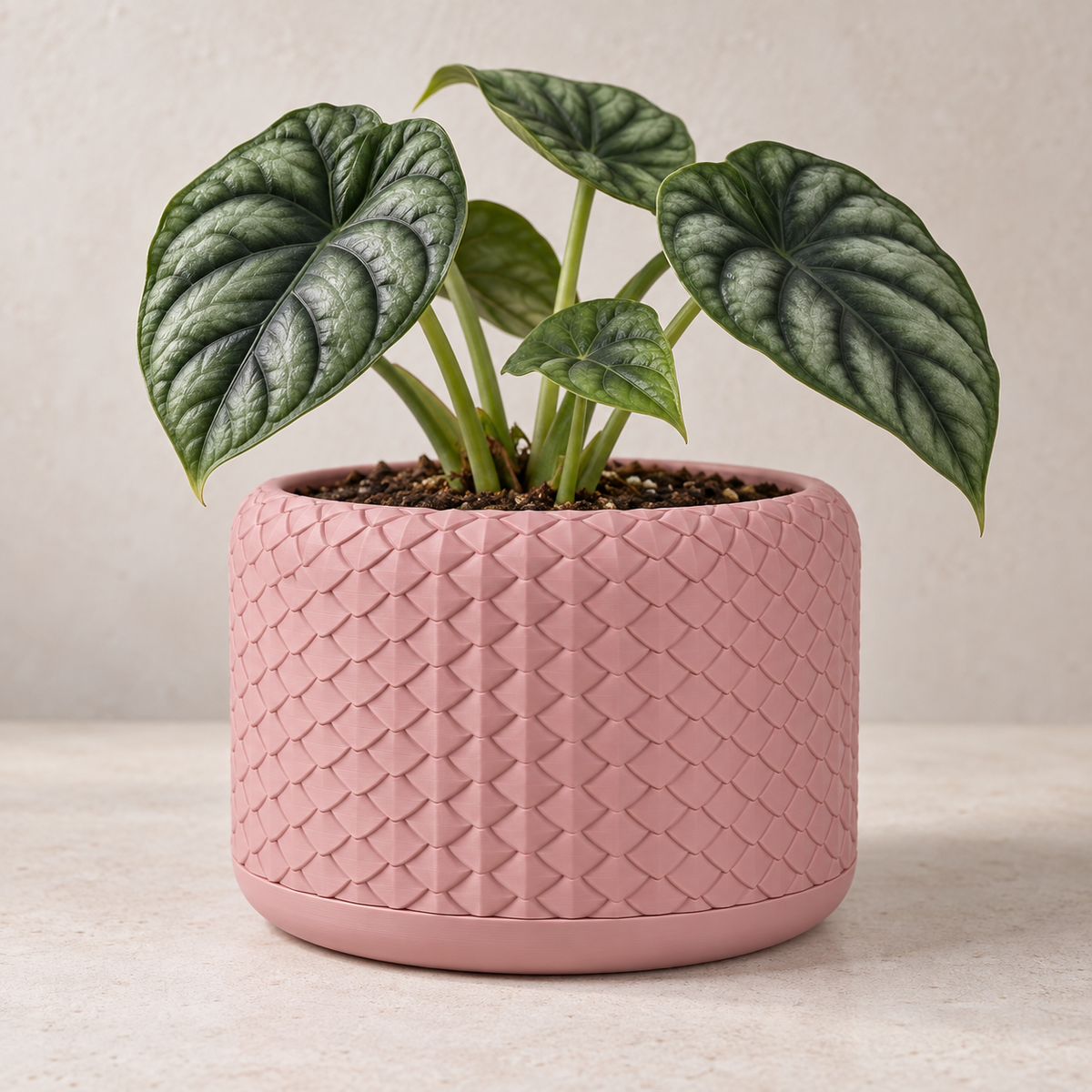Pelta sculptural planter with ordered overlapping scale texture