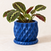 Prizma geometric planter with faceted triangular planes