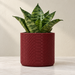 Serpen indoor planter with subtle snake-scale texture