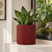Serpen indoor planter with detailed subtle snake-scale texture