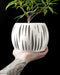 3D printed planter pot with vertical slits and inner lattice, spherical form held in tattooed hand, decorative plant inserted, white modern geometric flower pot with perforated pattern, minimalist home decor, unique planter design, gifts for plant lovers, round indoor pot, futuristic aesthetic container for succulents or bonsai