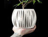 round 3D printed pot with long narrow vertical slits and visible ribbed shell underneath, viewed from side in tattooed hand, home office decor piece, artistic planter for shelf or tabletop, white futuristic plant container, flower pot with structure and detail, for unique interiors