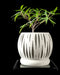 closeup of spherical 3D printed planter with alternating vertical cuts and internal ribbed mesh, smooth matte surface, displayed on black background, designer pot for modern spaces, white flower pot, housewarming gift, sculptural planter, light passing through cutouts, one-of-a-kind decorative container