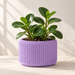 Tressa indoor planter with knit-inspired loop texture