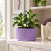 Tressa decorative indoor planter featuring knit-inspired loop texture