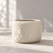 Decorative Tropica round planter with raised botanical leaf pattern and houseplant