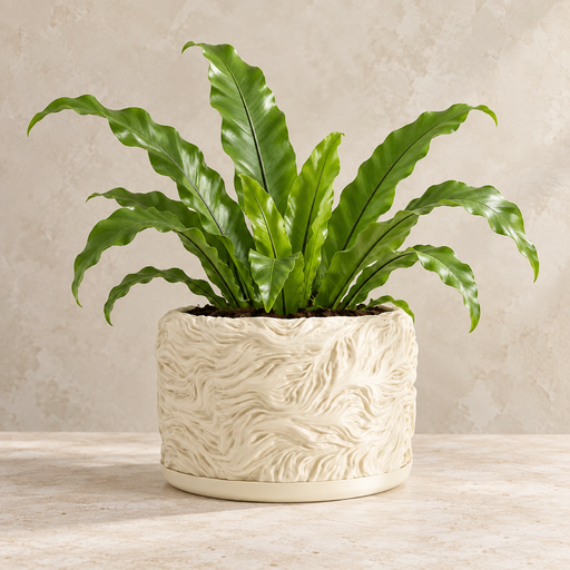 Verta indoor planter with flowing organic ripple texture