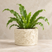 Verta indoor planter with flowing organic ripple texture