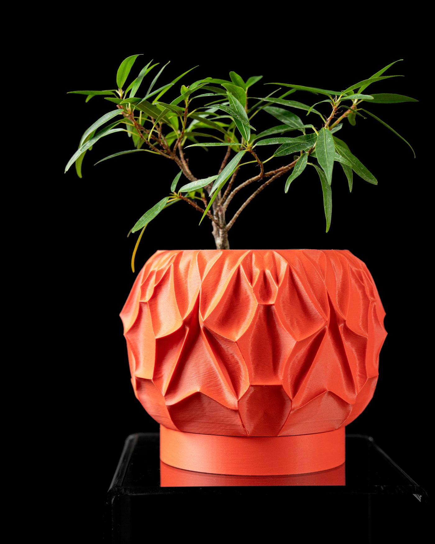 Vessel botanical texture indoor planter, product view 1