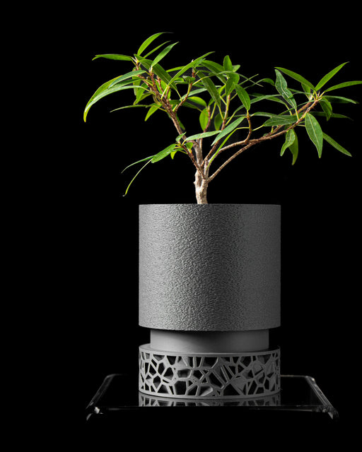 modern planter pot with textured matte surface and cylindrical body, elevated on a parametric geometric base, inspired by cellular structures and architectural lattice forms, made using high-resolution 3D printing, designed to resemble natural stone with fine tactile grain, ideal for houseplants or bonsai, sculptural and functional, unique planter, minimalist home decor, 3d printed planter, large planter, planter pot, gifts for mom, personalised gifts, planters and pots