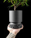 3d printed decorative pot with matte grainy surface and cylindrical form, lifted above a striking cutout base made of Voronoi-style geometry, designed for stability and airiness, features seamless junction between upper body and sculptural support, modern planter pot, 3d printed planter, minimalist design, textured surface planter, unique home decor piece, personalised gift, succulent planter, planters and pots, college gifts, housewarming decor, gifts for mom, future-forward aesthetic