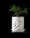 white 3d printed planter with concentric ripple pattern resembling a waterdrop effect, cylindrical shape with slight curvature and modern organic design, plant growing from top, planter sits on matching tray, high-detail texture visible, minimalist background, futuristic decorative pot for indoor plants, unique tactile surface, perfect for zen style decor and modern nature-inspired interiors