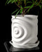 modern white planter with sculptural ripple texture imitating water impact, vertically elongated form with subtle deformation, 3d printed from biodegradable material, paired with curved drainage tray, close-up showcasing natural light and shadow play on textured surface, artistic geometric home decor accent, ideal for succulents or indoor greenery, futuristic and soft-edged design language