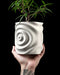 hand holding white 3d printed planter with water ripple design on outer surface, green plant growing from top, organic asymmetrical shape with digitally precise curves, lightweight material and smooth matte texture, functional art object for modern homes, expressive yet calming design, suitable for gifts or eco-conscious decor setups