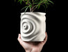 top perspective showing open rim of white planter with flowing ripple pattern, interior cavity spacious and smooth, walls undulate with radial energy as if reacting to water movement, fine texture reveals additive layer-by-layer construction, minimalist sculptur