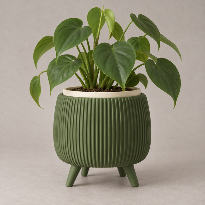 Planter with Legs & Removable Liner | Arco Plant Pot