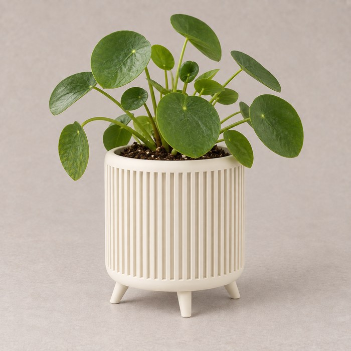 Ribbed Planter with Legs | Quadra Modern Plant Pot