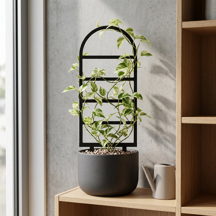 Arched Frame Plant Trellis for Climbing Plants | Arco Frame — product image 1