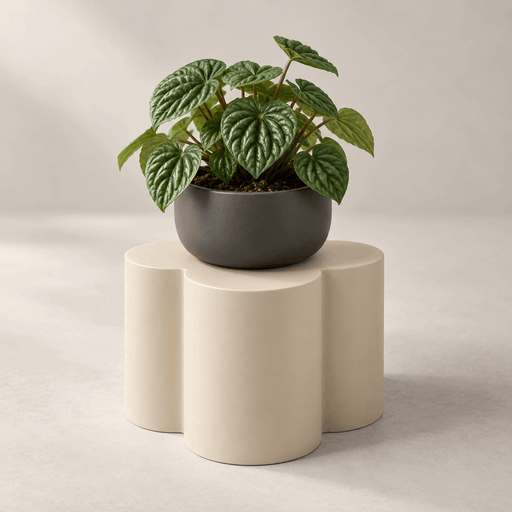 Modern Petal-Inspired Plant Stand for Planters | Bloom