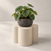 Modern Petal-Inspired Plant Stand for Planters | Bloom