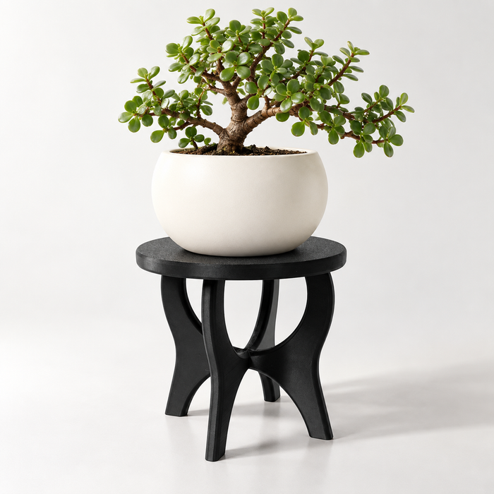 Modern Curved-Leg Plant Stand for Planters | CurveLift