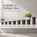 Minimalist Sculptural Plant Stand for Planters | Neo Base — product image 2