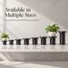 Minimalist Sculptural Plant Stand for Planters | Neo Base — product image 2