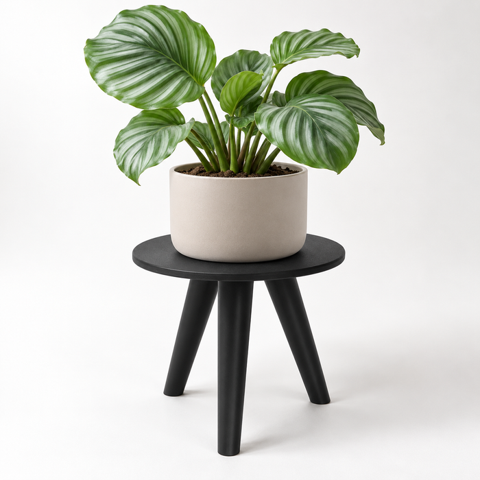 Minimalist Tripod Plant Stand for Planters | Orbitri