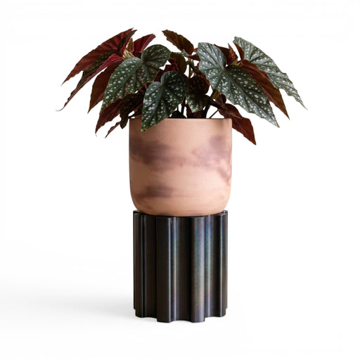 “Reed” plant pot stand styled with indoor planter