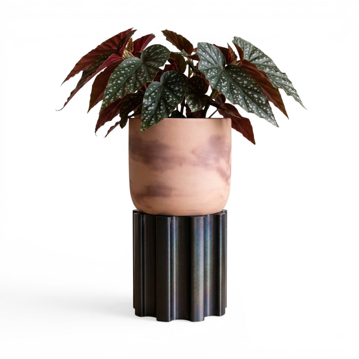 “Reed” plant pot stand styled with indoor planter