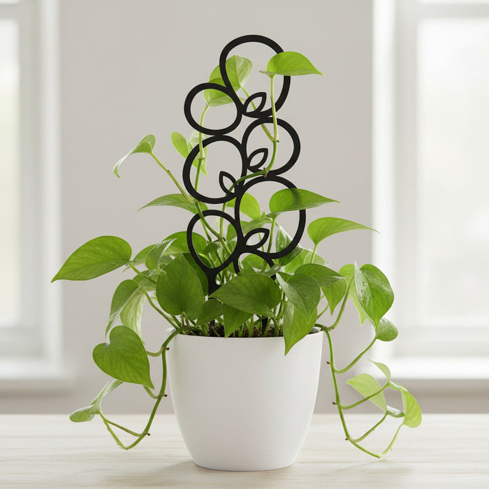 Black Bolla plant trellis supporting a trailing indoor plant in a white pot
