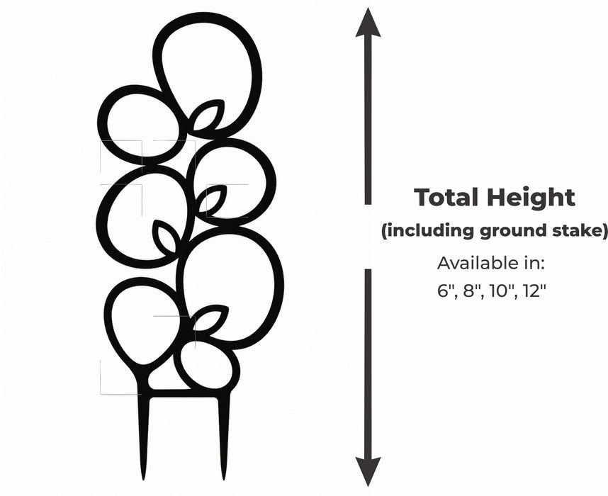 Bolla plant trellis size guide showing 6, 8, 10, and 12 inch height options