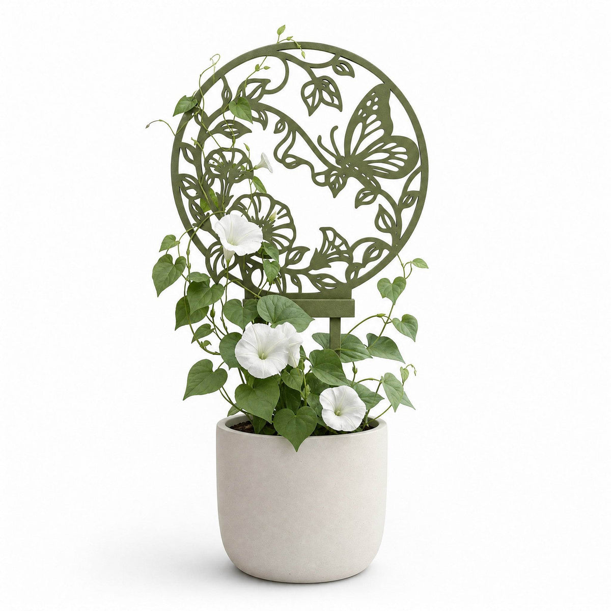 Plant trellis “Maris” with butterfly and botanical design supporting an indoor climbing plant