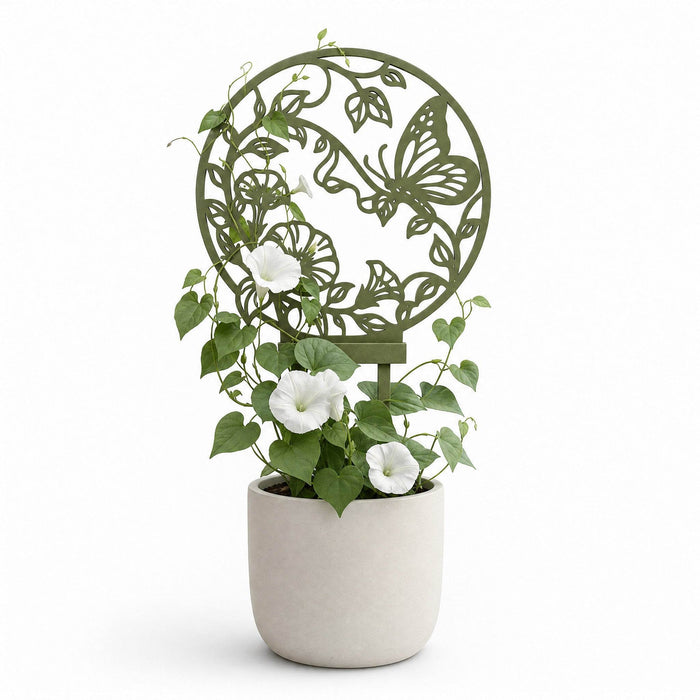 Plant trellis “Maris” with butterfly and botanical design supporting an indoor climbing plant