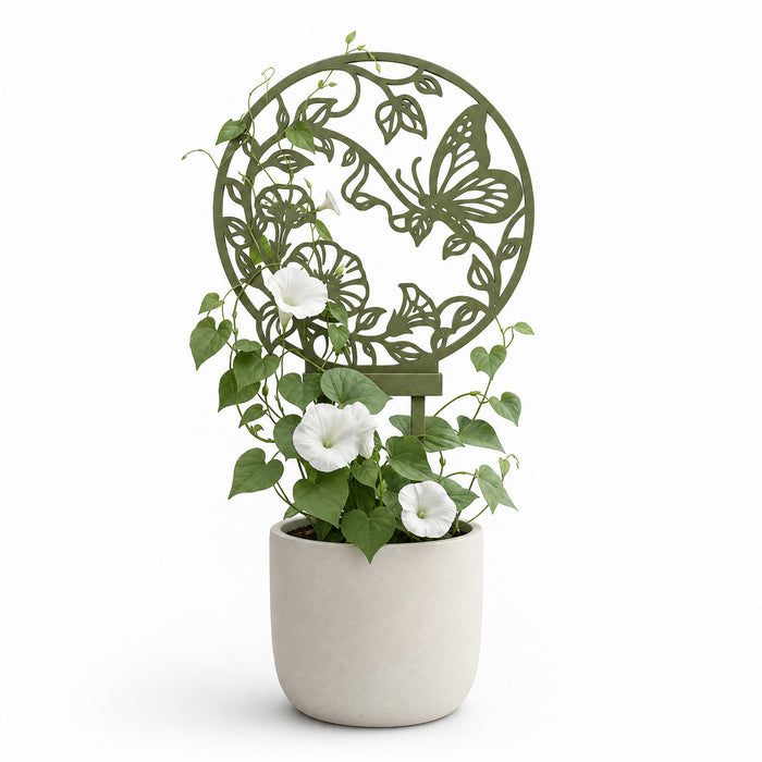 Plant trellis “Maris” with butterfly and botanical design supporting an indoor climbing plant
