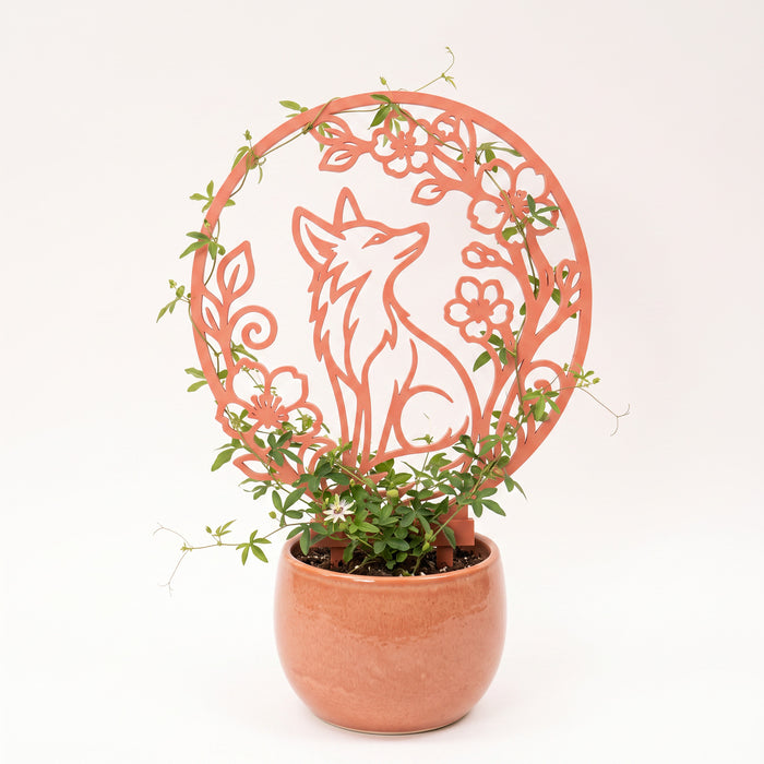 Plant Trellis “Yara” for Indoor Climbing Plants